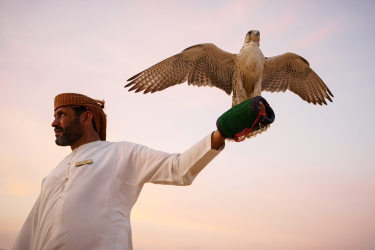 Urlaub In Abu Dhabi Reisezeit Visum Klima Und Co Ichbinreisen De